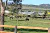 Hunter Valley Farms004.jpg